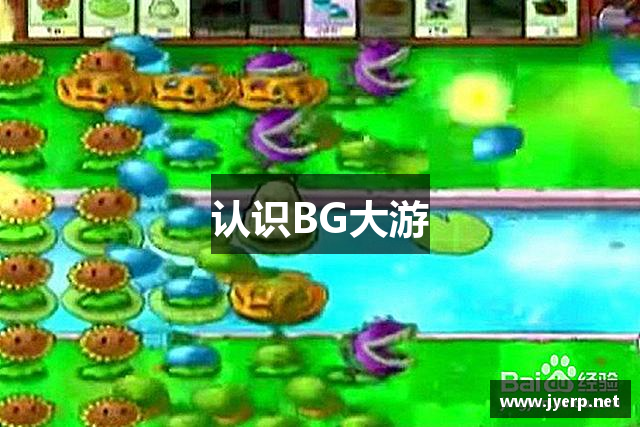 认识BG大游